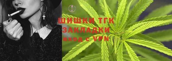 шишки Белоозёрский
