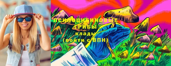 спайс Белокуриха