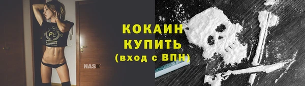 шишки Белоозёрский