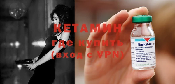 шишки Белоозёрский