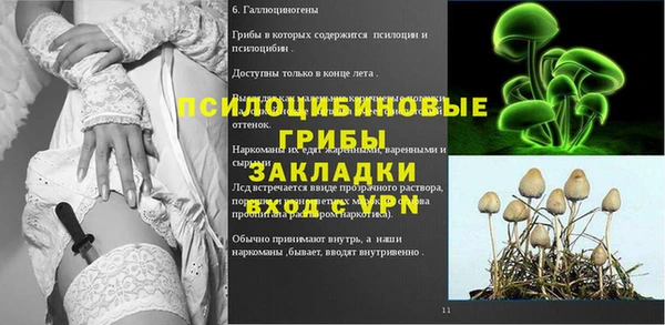 шишки Белоозёрский