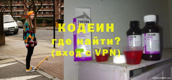 шишки Белоозёрский