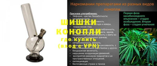 шишки Белоозёрский