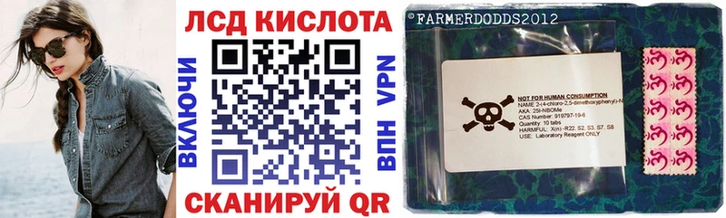 купить наркоту  Пионерский  Марки N-bome 1,8мг 